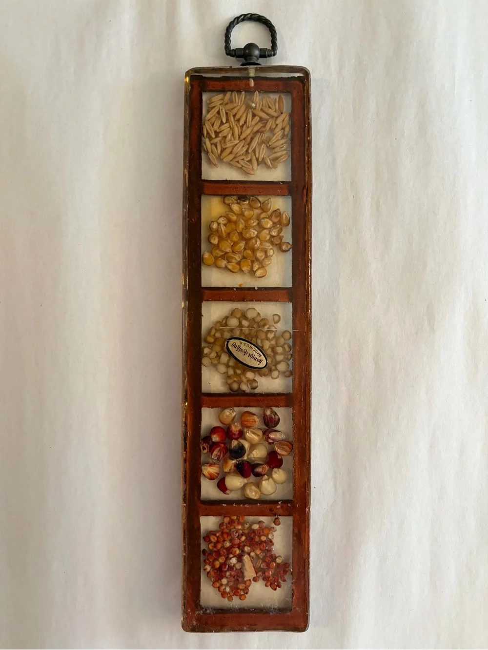 Vintage Gamut Designs Hanging Lucite, Wood & Natural Seed Display 13 1/8” Retro